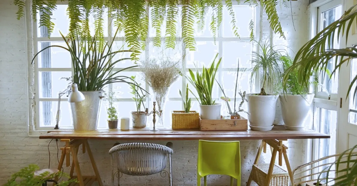 Indoor Gardens as Unique Room Dividers.webp