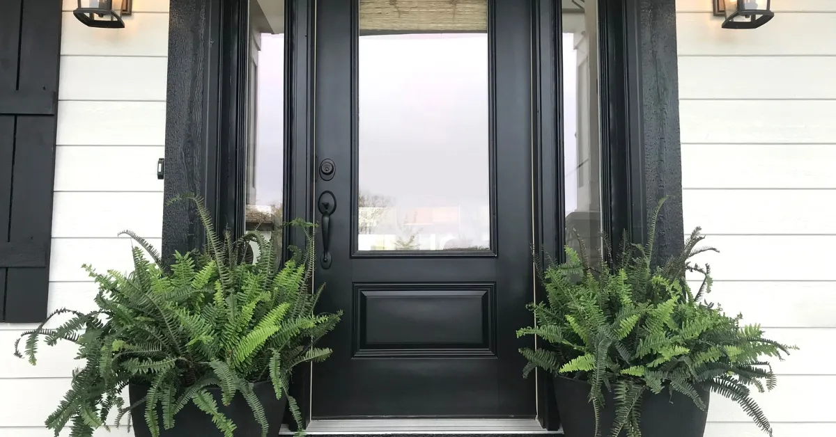 Front door with plants