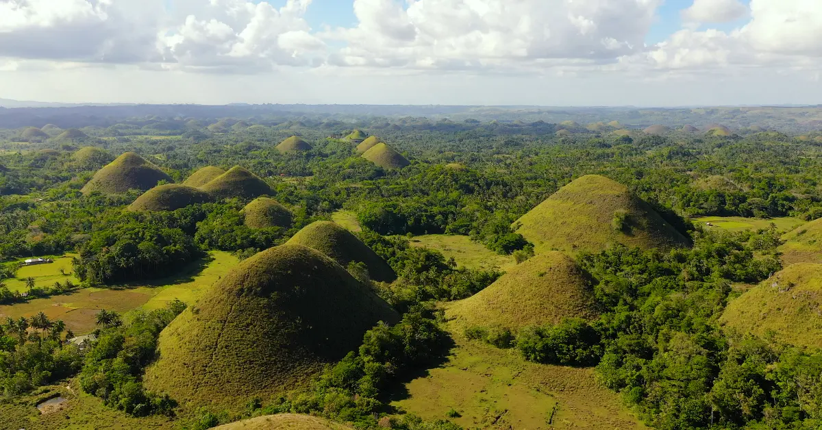 Photo of chocolate hills