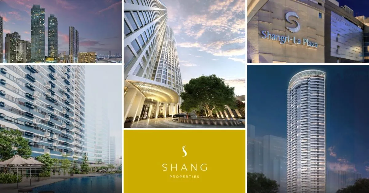 Shang Projects 