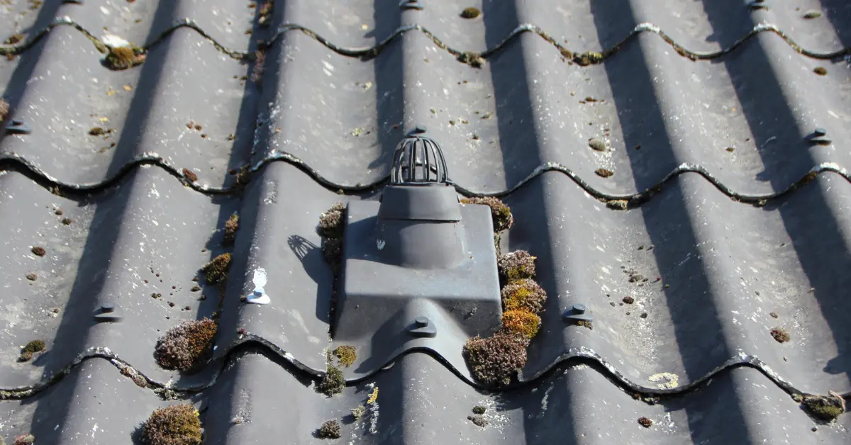 Dirty roof with exhaust